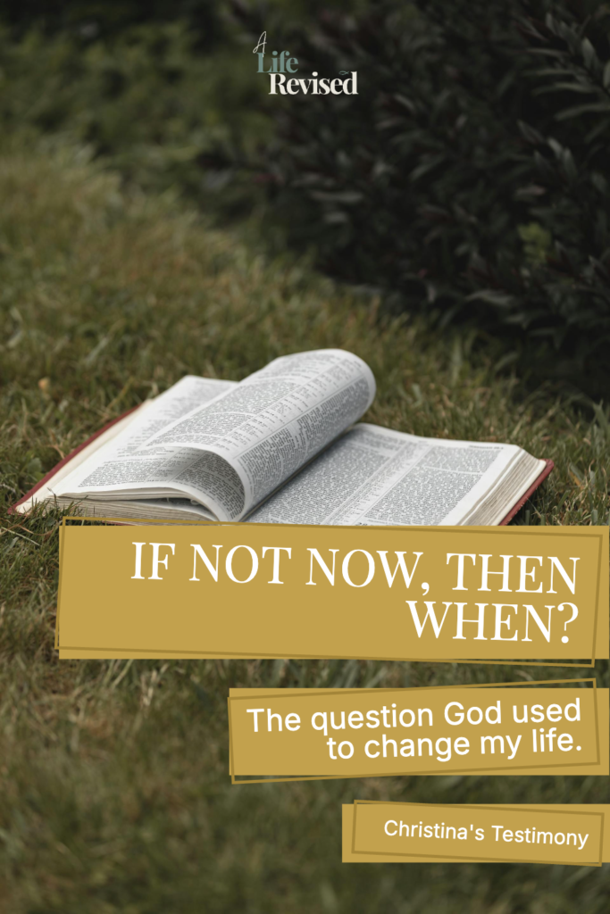 open bible on the grass
