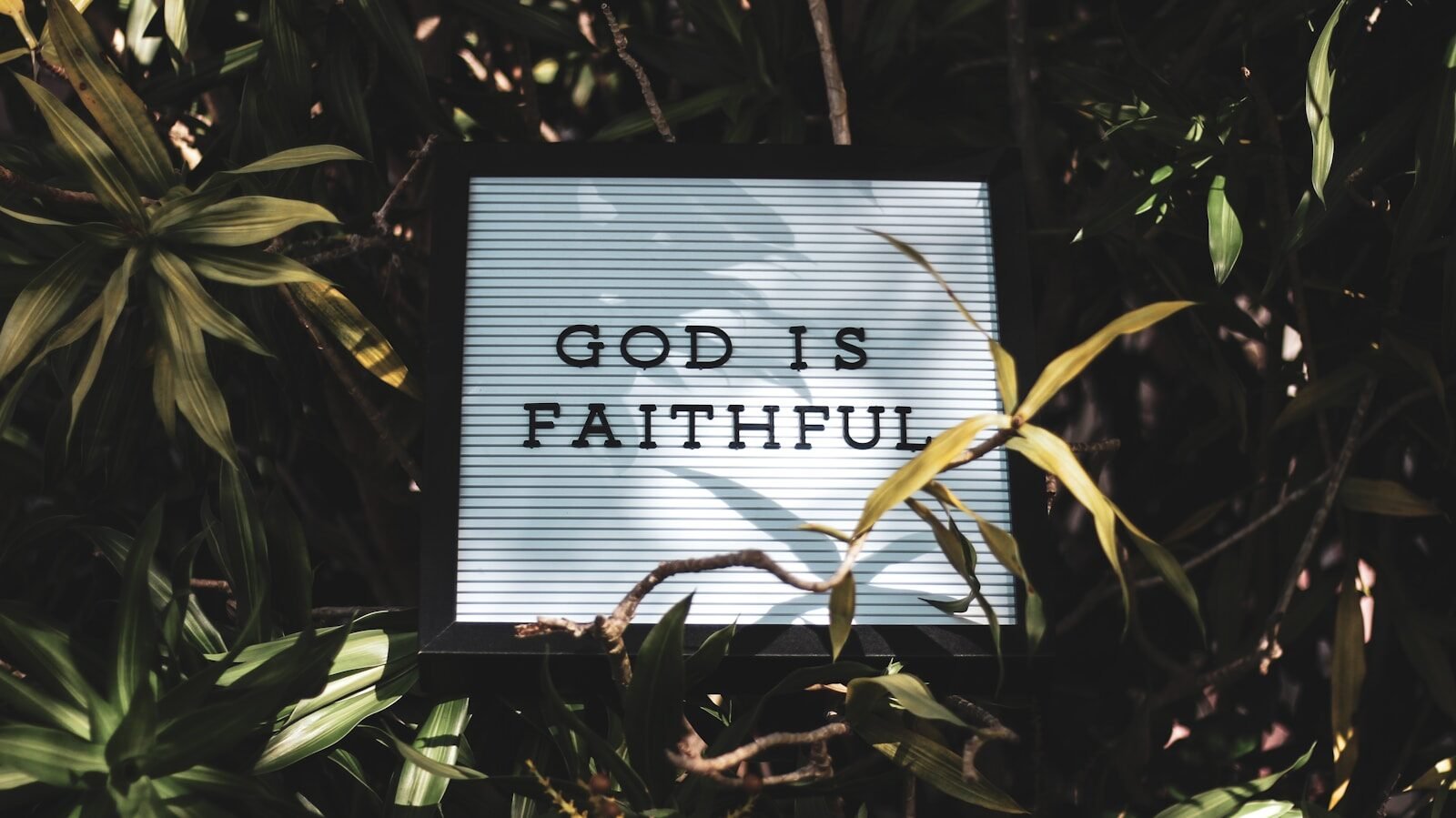 God is Faithful signage with leaved background, my testimony